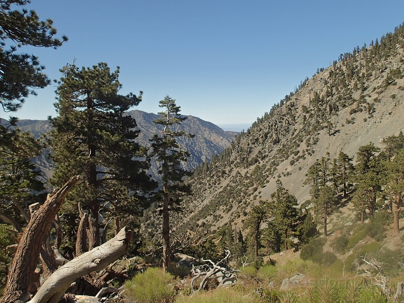 2014 Mt Baldy Cali 045.JPG - Summit Mt San Antonio (Mt Baldy) California